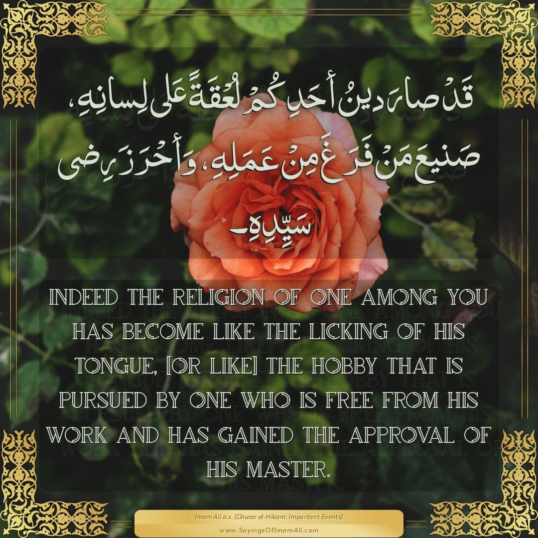 Indeed the religion of one among you has become like the licking of his...